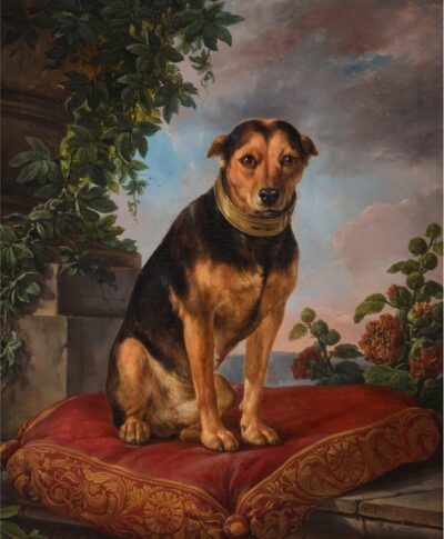 Auf den Hund gekommen: klassisches Konditionieren